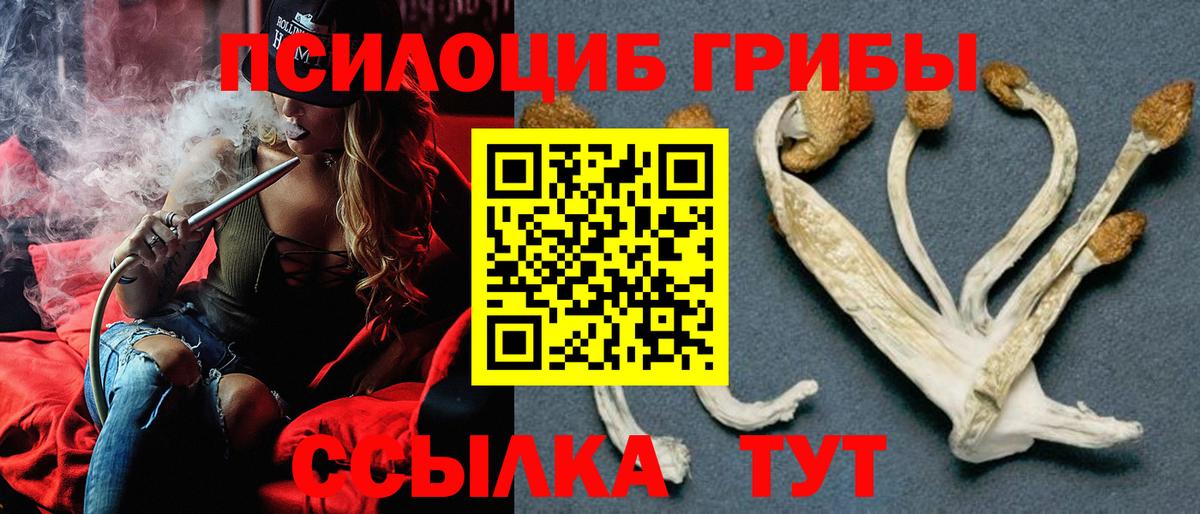 Галлюциногенные грибы прущие грибы  Псилоцибиновые грибы Magic Shrooms  Белорецк  Вход с VPN 